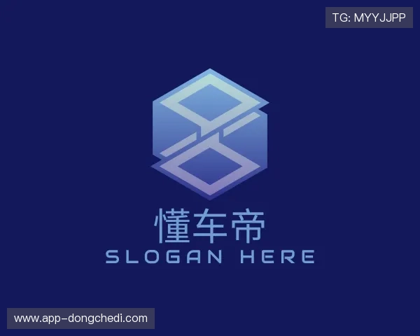 介绍懂车帝app